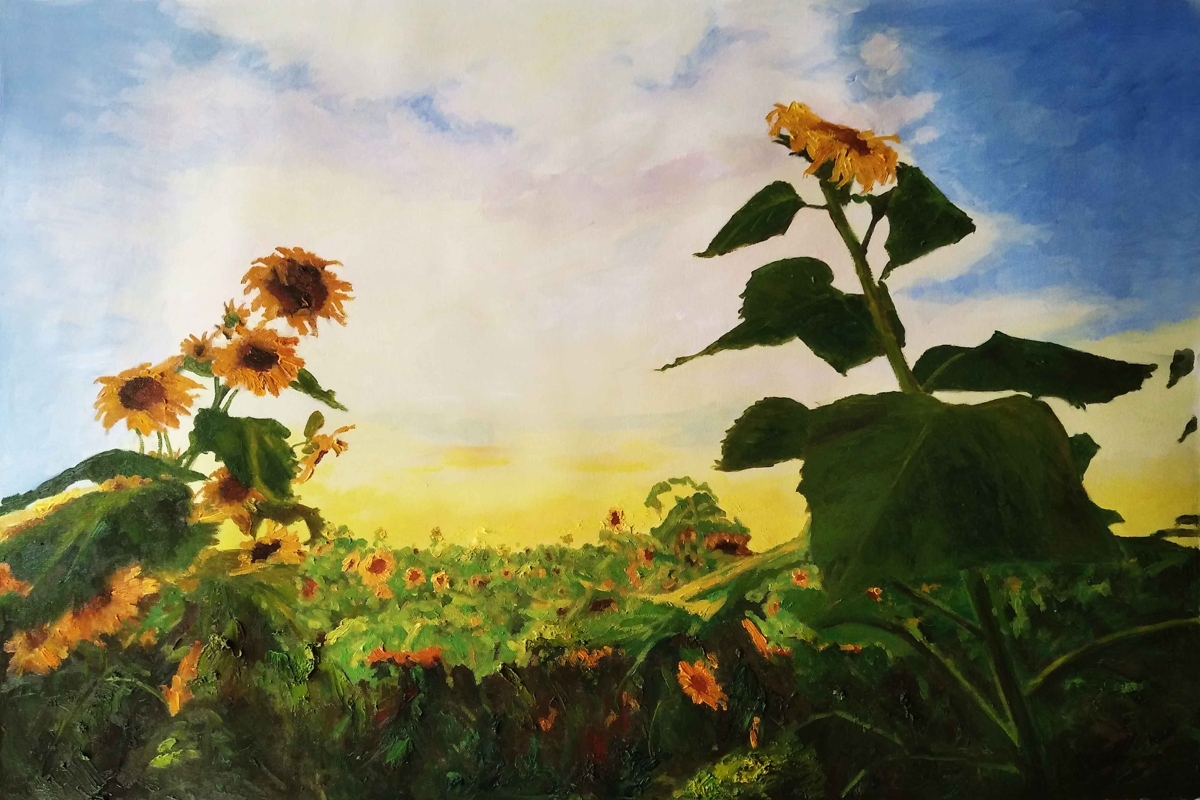 修亮《葵花》油画