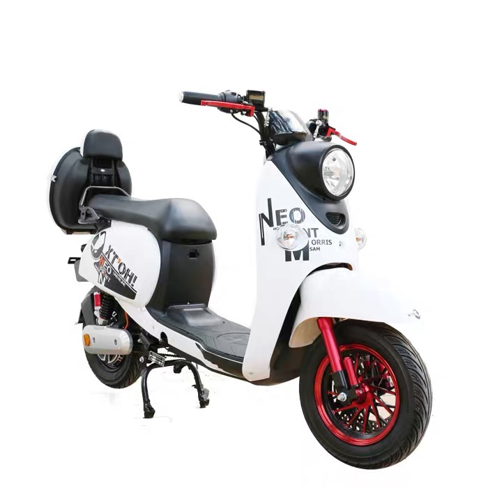 锡特小晶龟2代轻奢新国标电动自行车超长里程超大容量可上牌锂电