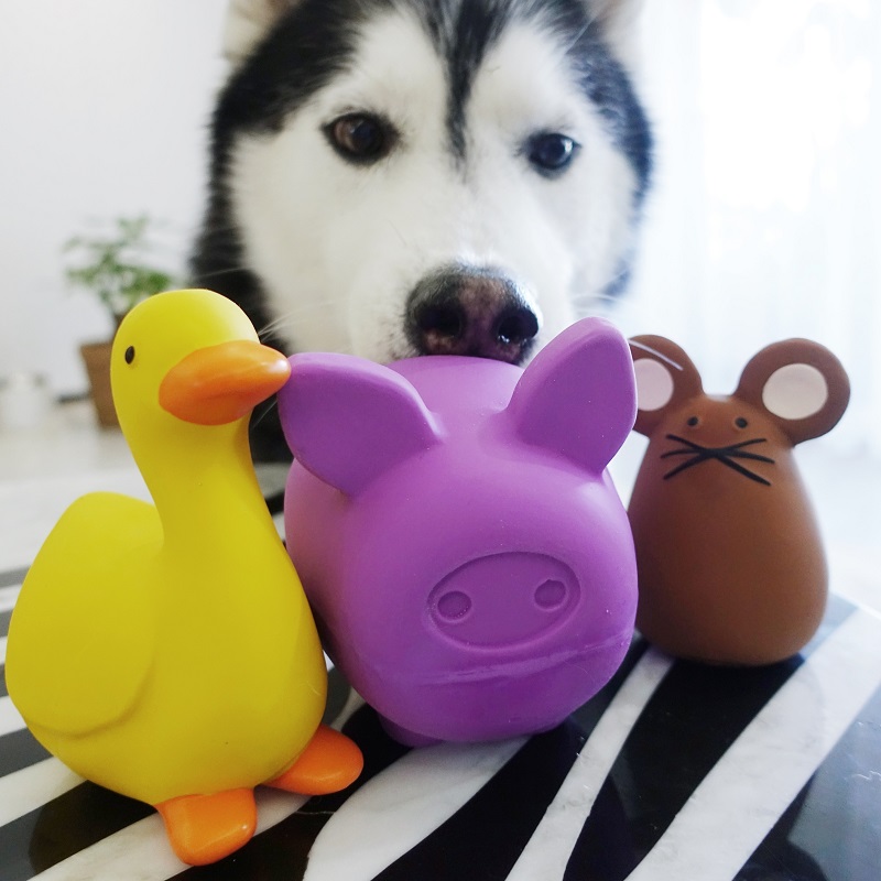 大胖商店 意大利UNITED PETS进口宠物狗狗玩具快乐农场发声惨叫鸡在类目 宠物/宠物食品及用品, 猫/狗玩具, 发声玩具中 - 来自Buy2taobao.com提供专业的淘宝代购服务