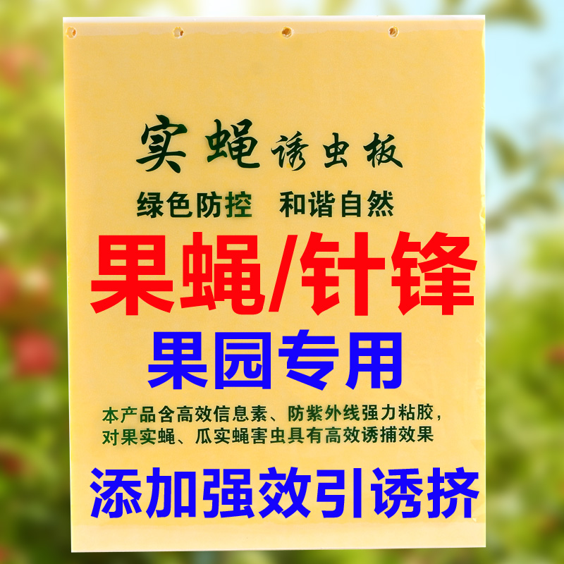 果园专用信息素针锋粘板瓜果实蝇粘胶板黄板粘虫板黄色防水粘虫