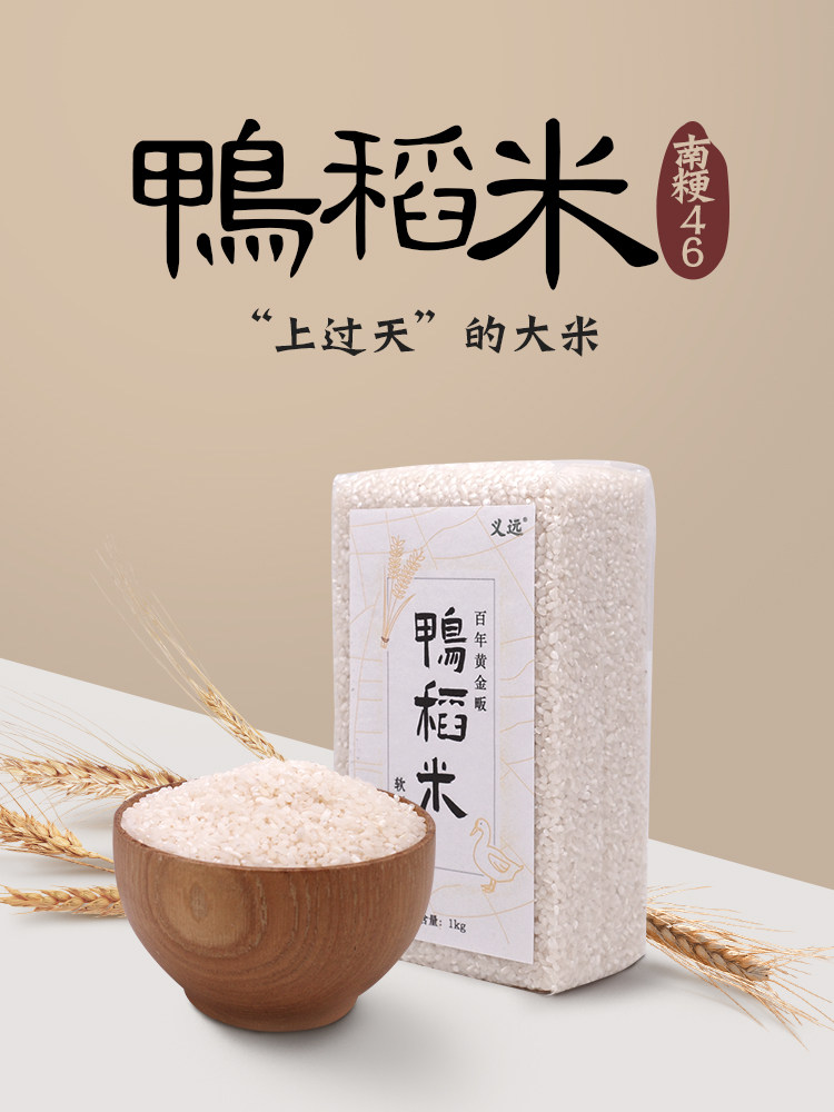 义远2021新生态鸭稻米粳米抽真空包装大米1kg香米珍珠米浙江湖州