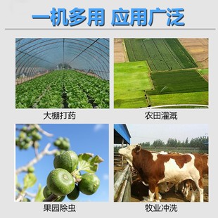 汽油打药机高压农用柴油喷雾器新型果树园林自动收管打农药喷药机