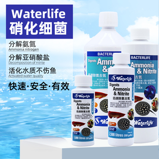 英国原装进口水生态waterlife硝化细菌鱼缸活性菌液养龙鱼除氨氮