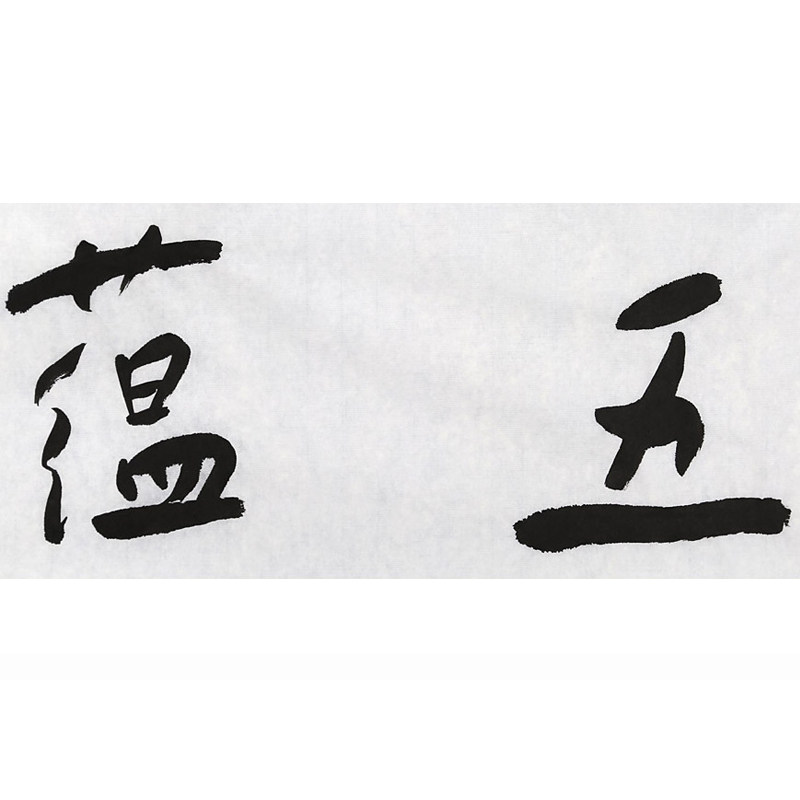 清华美院书法高研班导师 张德林 四尺对开《五蕴皆空》