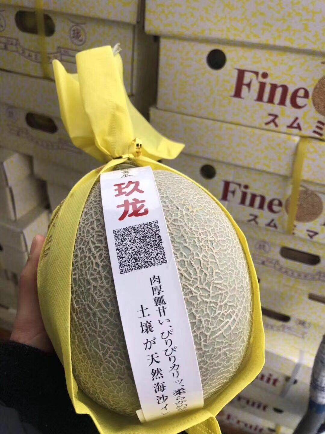 现货 日本静冈夕张玫珑蜜瓜5个装新鲜水果哈密瓜玫珑口口蜜瓜包邮