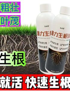 生根药水复活液枯树再生液扦插专用快速生根粉植物通用强力生根ZM