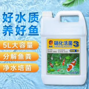 海豚鱼池硝化细菌5L大桶水族鱼缸净水除藻澄清剂安定剂锦鲤鱼药水