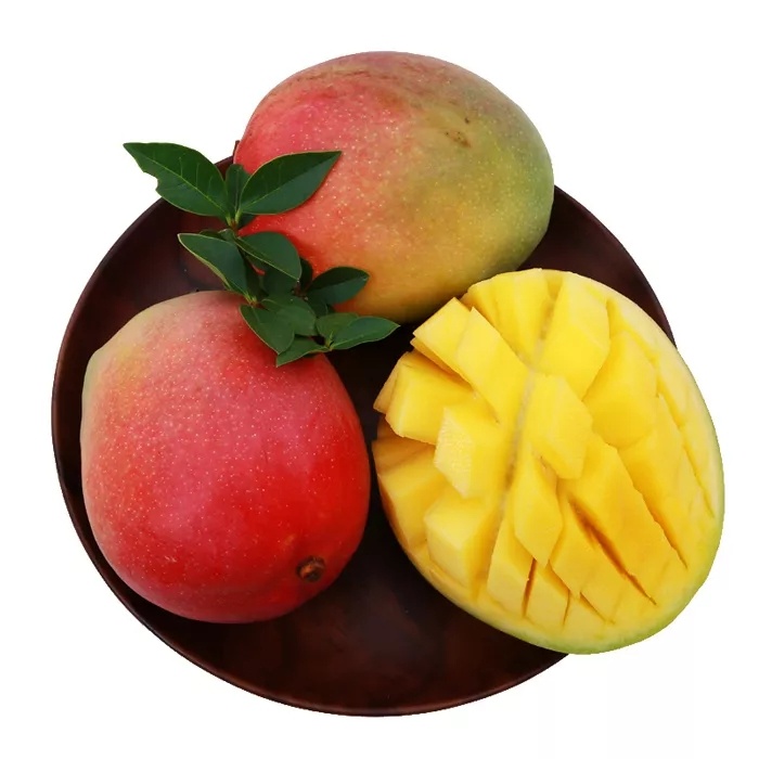 桂姬/guiji四川攀枝花彩虹芒新世纪爱文芒当季新鲜水果