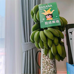 水培香蕉花禁止焦绿色新鲜当季水果真芭蕉香蕉苹果蕉整箱串装