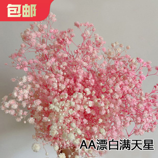 AA级粉色满天星干花包白色永生花混搭花束客厅桌面装饰花浮游花材