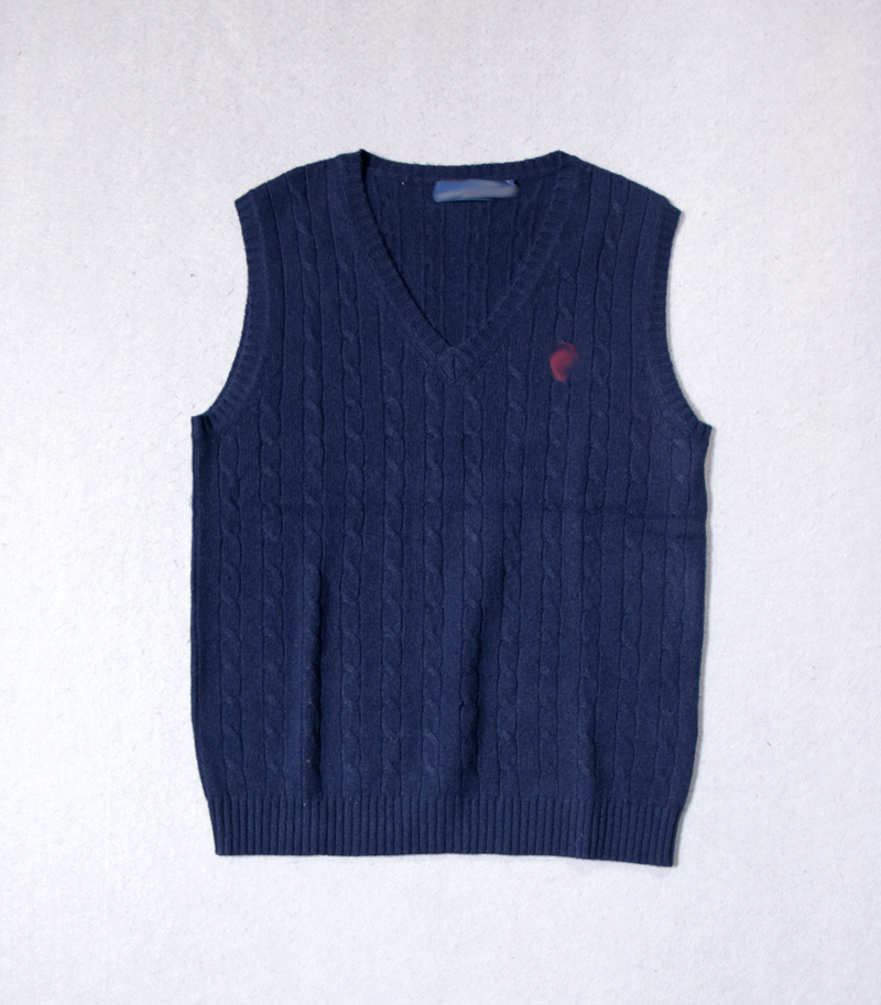 欧美简约男士进口羊毛针织毛衣套头背心v领纯色麻花商务休闲