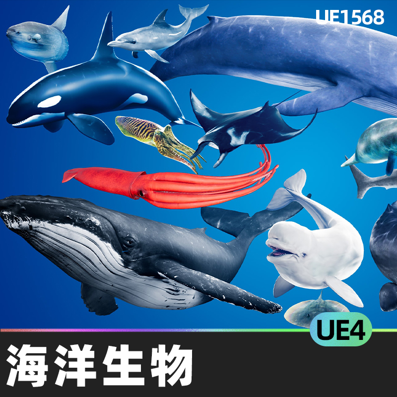 Ocean Animals MEGA Pack海洋动物巨型动画蓝图角色NPC鲸鱼UE4UE5