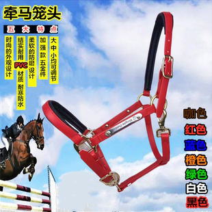 新款 PVC牵马笼头马具配件包邮大小矮马龙头笼套缰绳精骑马术用品