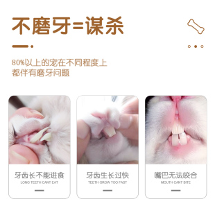 速发兔子磨牙用品仓鼠磨牙棒草棒木龙猫松鼠荷兰猪套餐零食苹果枝