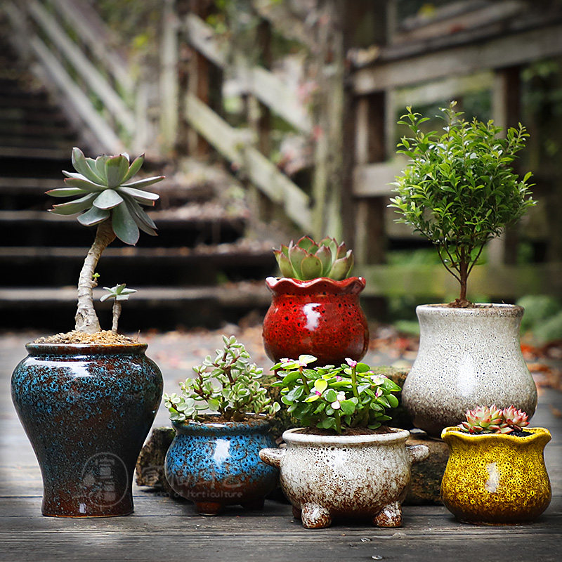多肉花盆包邮特价清仓大口径肉肉植物陶瓷老桩盆创意个性套装组合