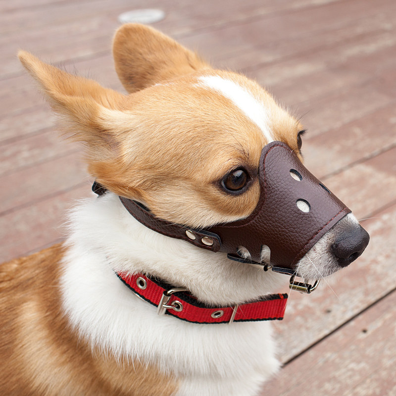 狗嘴套 中小型_狗狗嘴套狗口罩 防叫防咬防乱吃 大中小型犬宠物泰迪