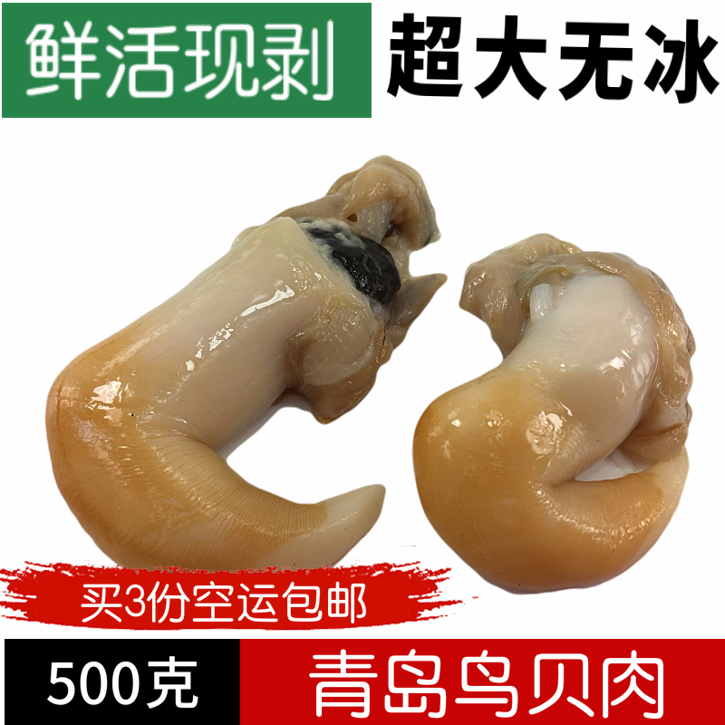 鸟贝肉鲜活鸟贝当天现剥冷冻去内脏新鲜青岛海鲜水产贝类刺身500g在类目 水产肉类/新鲜蔬果/熟食, 海鲜/水产品/制品, 贝类, 青口贝中 - 来自Buy2taobao.com提供专业的淘宝代购服务