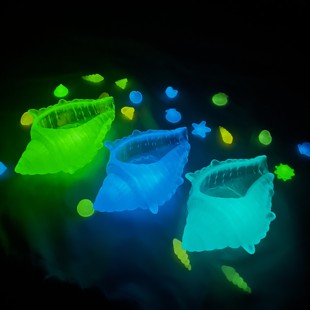 夜光海螺发光玩具创意荧光摆件永久儿童玩物桌面造景鱼缸送礼