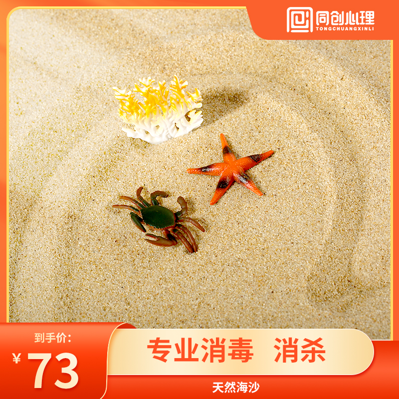 同创天然海沙心理沙盘游戏专用沙子水洗消毒细腻宝宝玩具玩沙