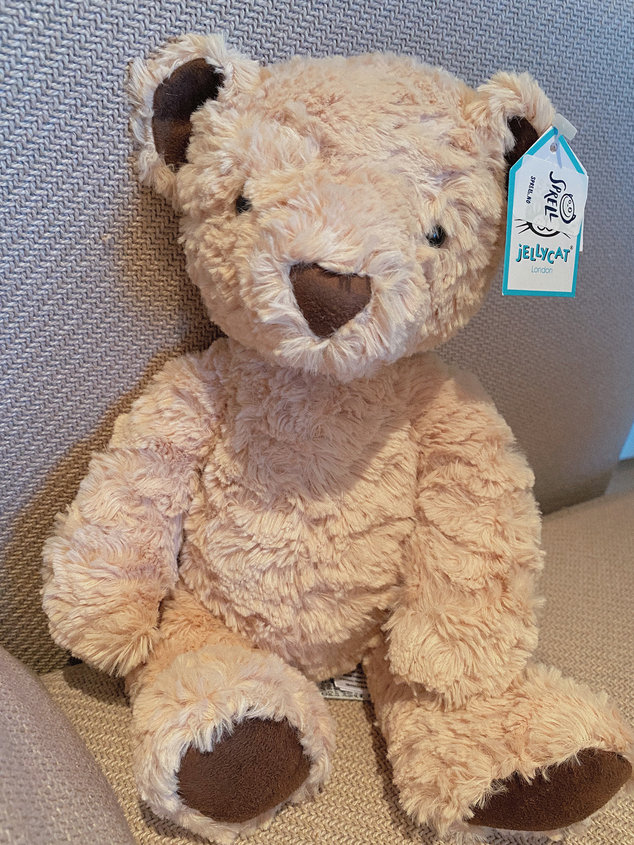 英国jellycat爱德华小熊公仔 泰迪熊毛绒玩偶 安抚玩具 抱抱熊 熊