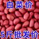2024新红皮花生米生东北农家新鲜晒干花生原味不带壳四粒红衣花生