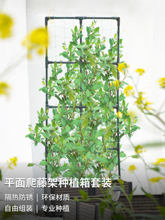 花箱种植箱爬藤架阳台种菜蔬菜黄瓜蔷薇月季葡萄室外户外庭院花架