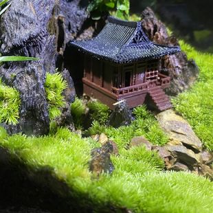 中式古建筑模型假山吸水石水陆缸鱼缸微景观造景书房庭院盆景摆件
