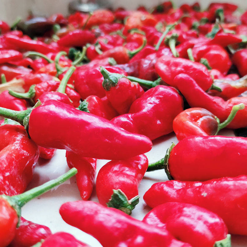 余干辣椒-特价促销-优惠券领取-价格|多少钱|什么牌子好-35优惠券网站