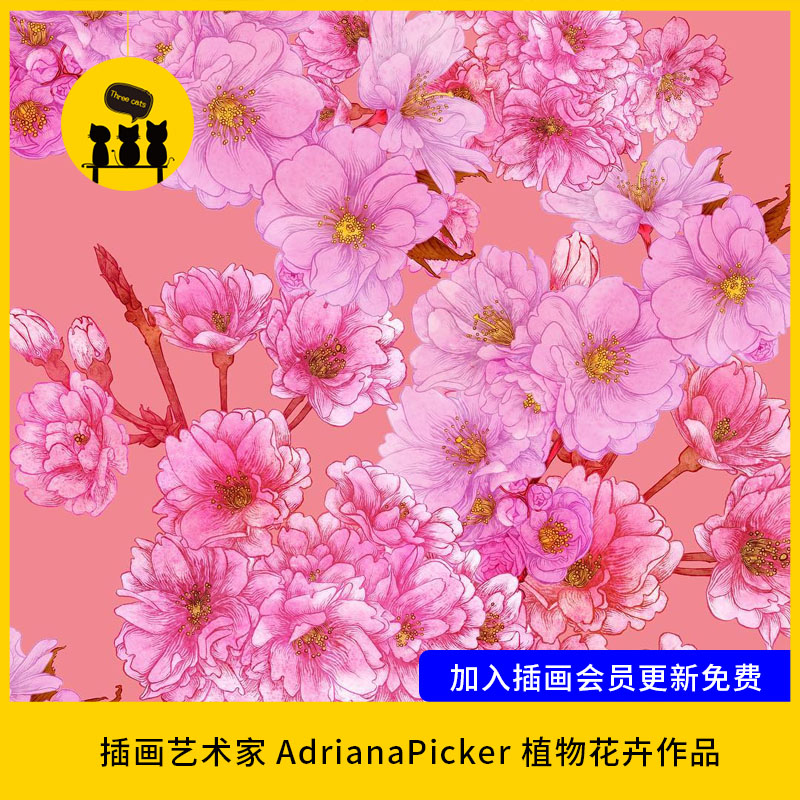 【1598】插艺术家Adriana Picker植物花卉作品图片素材电子版临摹