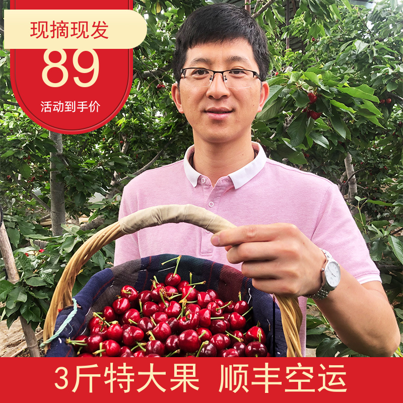 大連美早櫻桃 新鮮特大國産車厘子 現貨當季孕婦水果2/3/5斤順豐在類目 水產肉類/新鮮蔬果/熟食, 新鮮水果, 車釐子/櫻桃中 - 來自Buy2taobao.com提供專業的淘寶代購服務