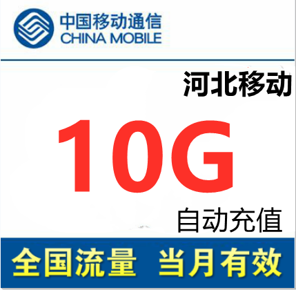 河北移动手机流量充值10G全国流量包移动流量充值10g 当月天有效