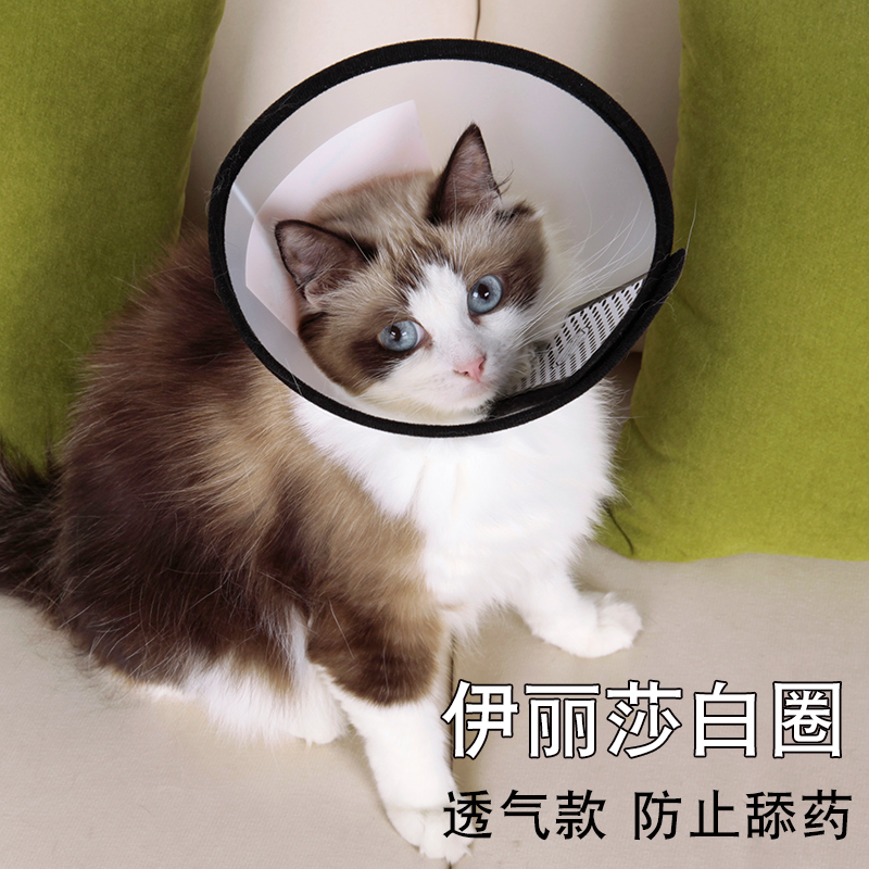 伊丽莎白圈猫咪项圈脖猫宠物狗狗头套绝育防抓防咬防舔药猫狗用品