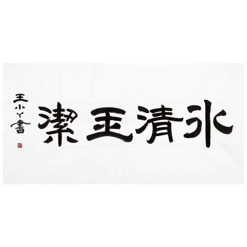 王小丫《冰清玉洁》中央电视台主持人