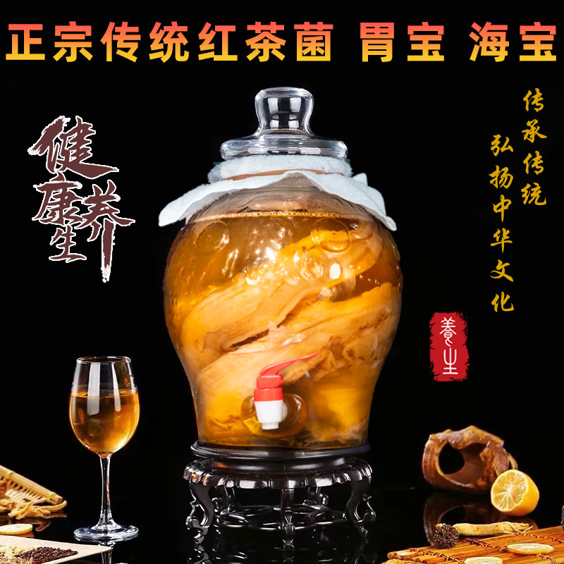 正宗红茶菌胃宝高品质大肚瓶全套海宝醋蛾子支氏酵品