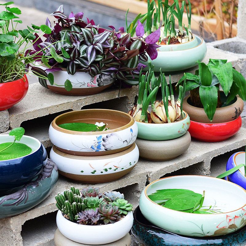 种花花盆优惠专场