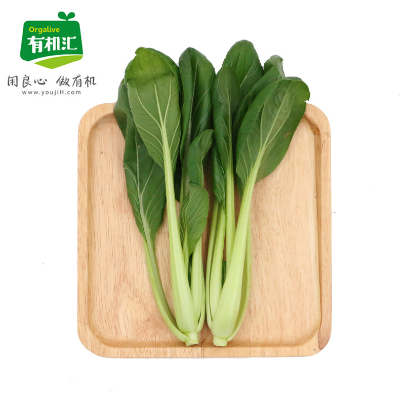 有机汇小松菜新鲜蔬菜小青菜绿叶菜鸡毛菜有机蔬菜辅食250g