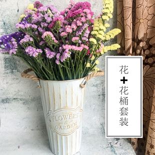 云南勿忘我干花花束带花瓶套装天然真干花家居摆设客厅装饰永生花