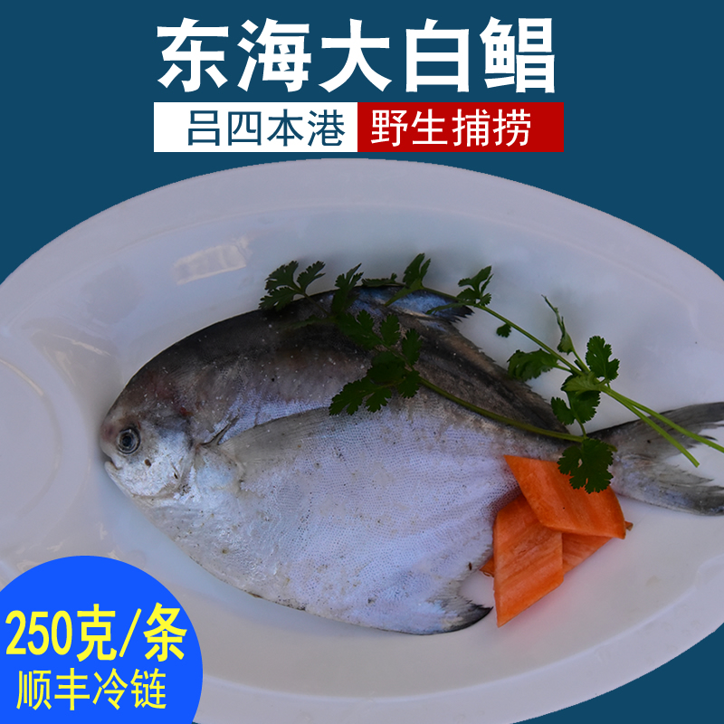 東海野生 新鮮白鲳魚 平魚 冷凍發貨 250g/條 啓東海鮮呂四特産在類目 水產肉類/新鮮蔬果/熟食, 海鮮/水產品/製品, 其它中 - 來自Buy2taobao.com提供專業的淘寶代購服務