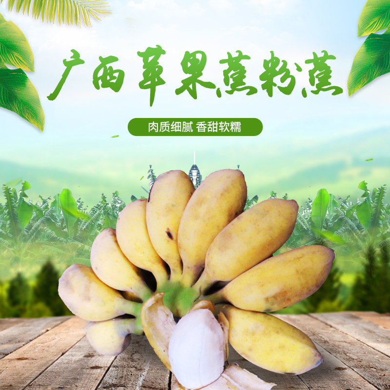 苹果蕉粉蕉蛋蕉新鲜香蕉水果包邮9斤装苹果粉蕉香甜粉糯非西贡蕉在类目 水产肉类/新鲜蔬果/熟食, 新鲜水果, 香蕉中 - 来自Buy2taobao.com提供专业的淘宝代购服务