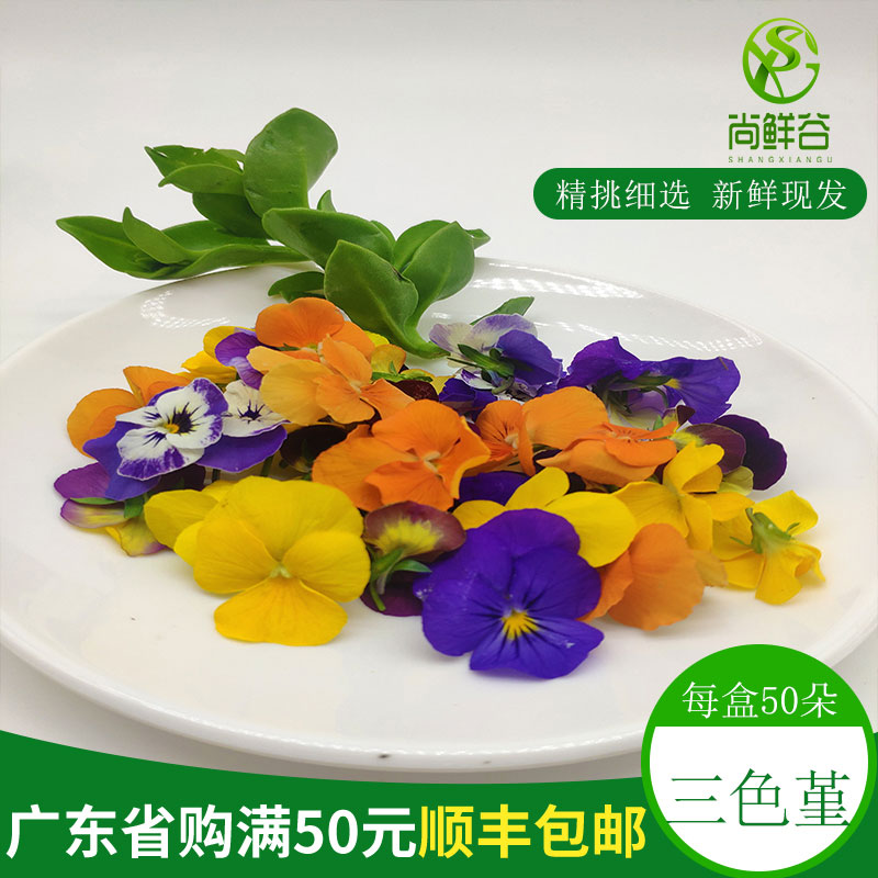 Pancies新鲜三色堇50朵食用花点缀菜品摆盘装饰特价只要元/盒