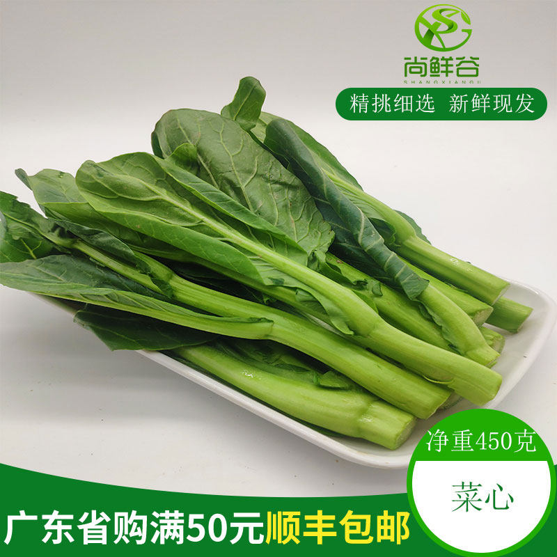 一折青菜蔬菜新鲜同城