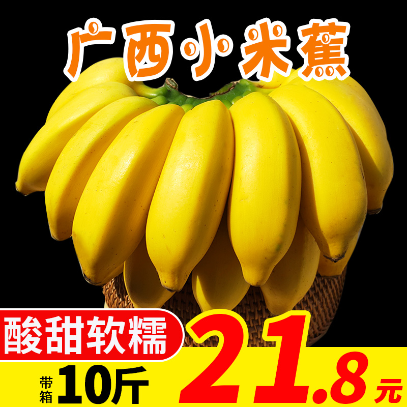 广西酸甜小米蕉新鲜的水果当季包邮整净重9斤水果批发小香蕉鸡蕉|msdalam kategori daging perikanan/Buah-buahan segar dan sayur-sayuran/dimasak, buah-buahan segar, pisang - dari Buy2taobao.com untuk memberikan perkhidmatan ejen Taobao profesional membeli
