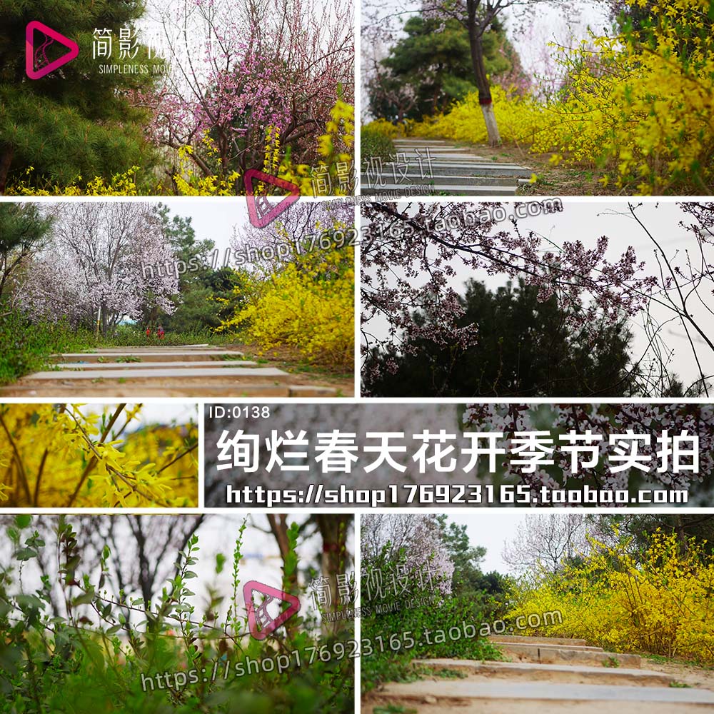 绚烂春天花开季节自然之春万物复苏植物发芽生长高清视频素材