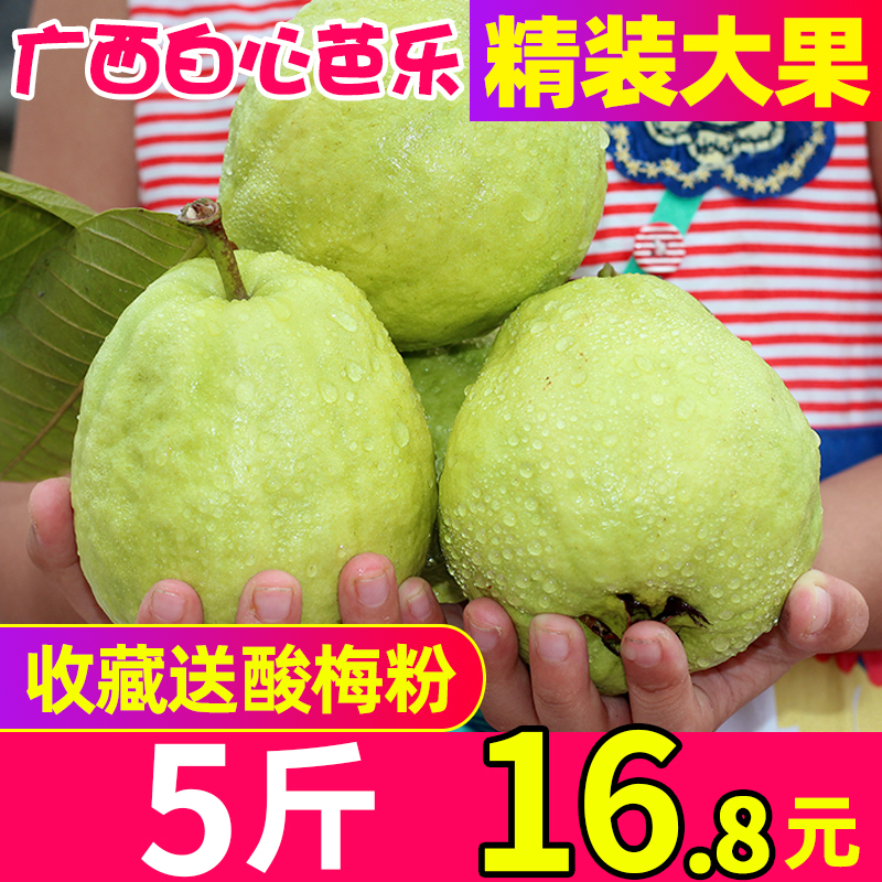 广西特产番石榴白心5斤巴乐水果珍珠芭乐果新鲜包邮蕃潘翻石榴|ruв категории водной мясо/свежие фрукты и овощи/еда, свежие фрукты, гуава - от Buy2taobao.com для оказания профессиональной услуги покупки агента Taobao