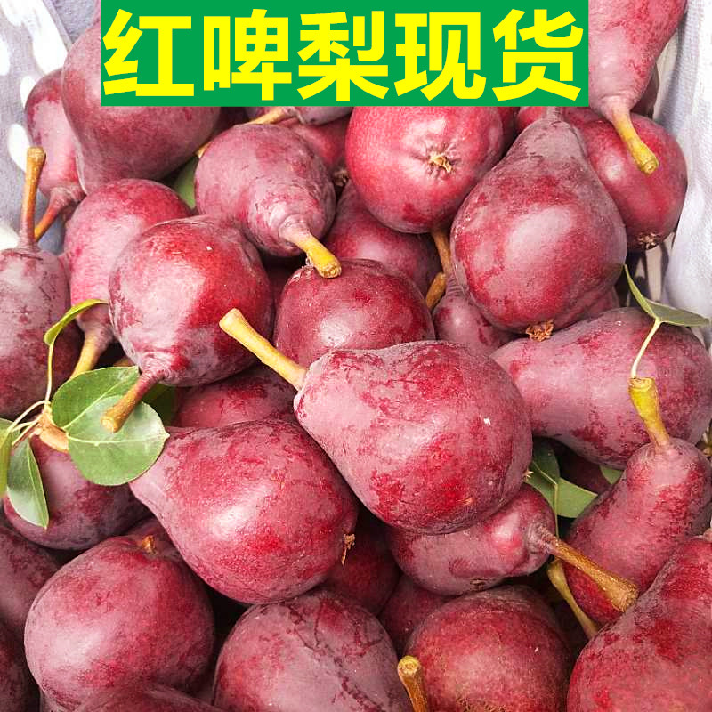 现货红啤梨新鲜红皮梨水果啤酒梨9斤包邮当季太婆梨整箱香蕉梨在类目 水产肉类/新鲜蔬果/熟食, 新鲜水果, 梨中 - 来自Buy2taobao.com提供专业的淘宝代购服务