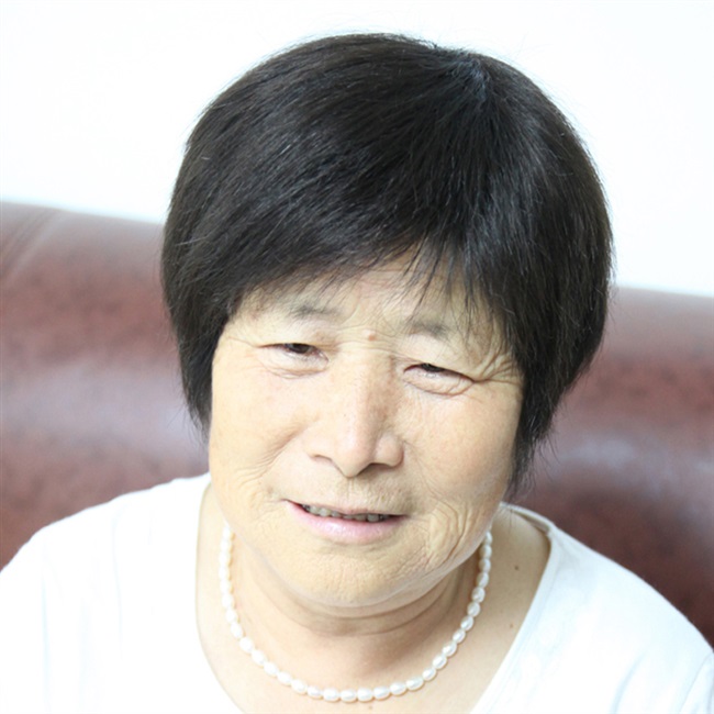 新老年人真发假发女短发黑色短直发真人发丝老太太全头套透气奶奶