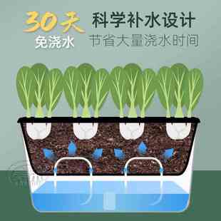 懒人自动吸水种菜盆种植箱蔬菜家庭阳台盆栽神器种菜长方形花盆