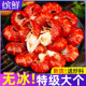 龙虾尾冷冻鲜活小龙虾无冰衣龙虾尾特级大号虾球鲜冻批发生鲜整箱