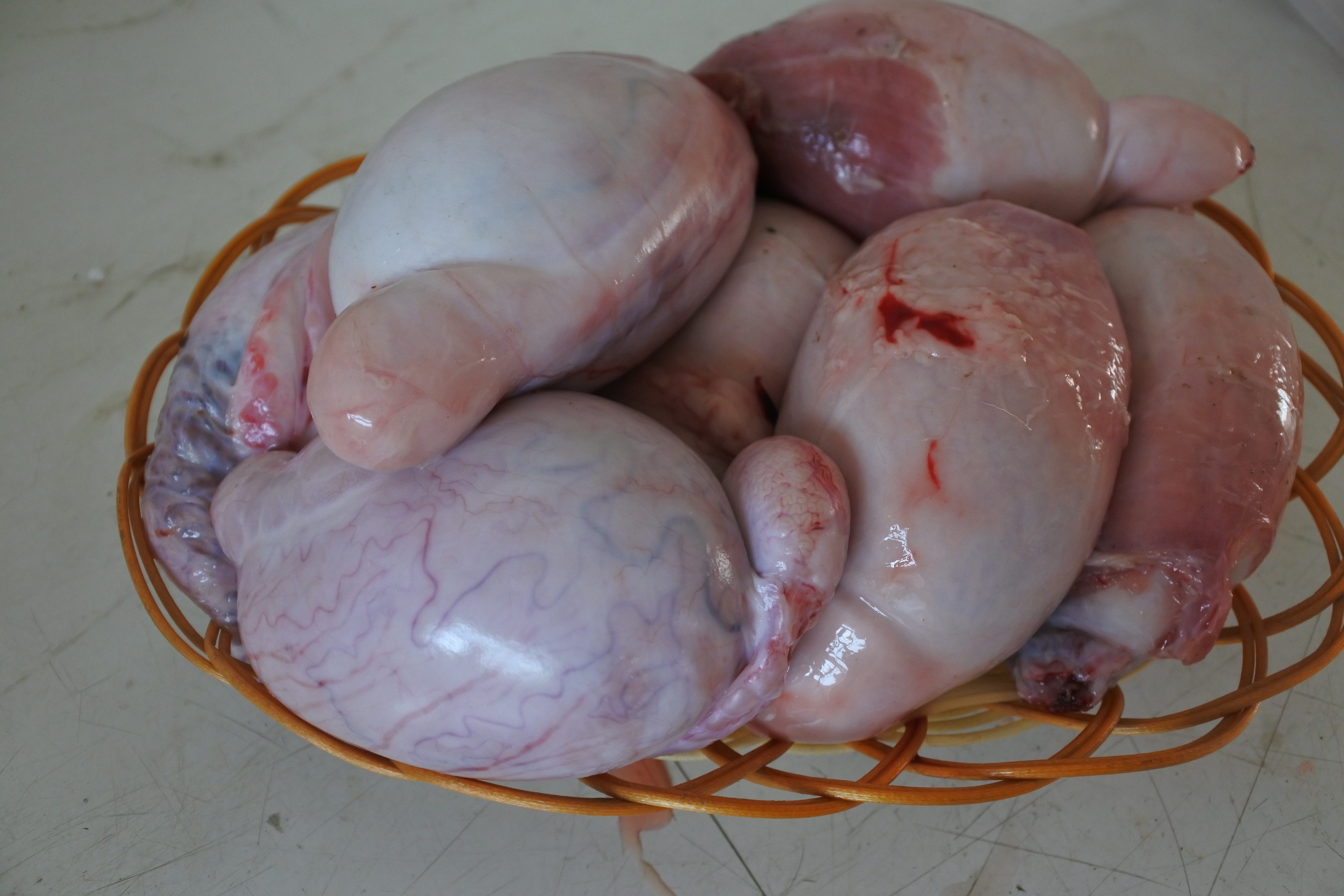 羊宝羊肾羊蛋羊鞭免邮新鲜羊宝新鲜 5斤羊外腰 新鲜羊杂新鲜羊宝