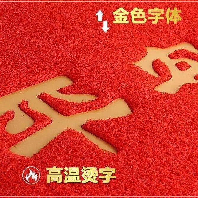 客厅门口地垫进门家用易清洗塑料丝圈定制可擦防滑婚庆长条线圈脚|msdalam kategori rumah Fabrik, Mats - dari Buy2taobao.com untuk memberikan perkhidmatan ejen Taobao profesional membeli